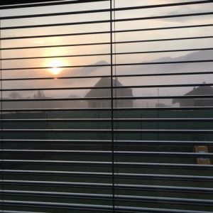 IMG_1219