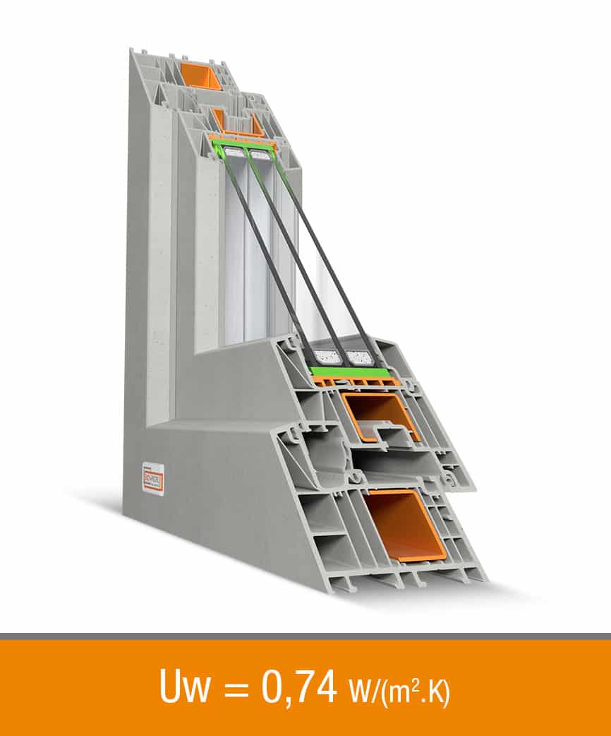 Salamander Beton