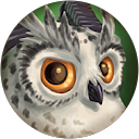 Ivan Solar profile picture